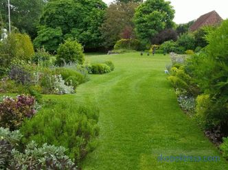 Grădina engleză - zece principii de bază ale aranjamentului său
