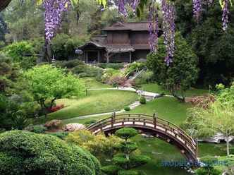 Grădina japoneză - principii și reguli pentru crearea stilului