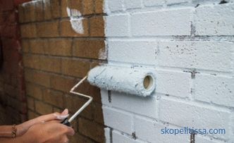 Cum de a picta o casă de cărămidă în afara: alegerea de materiale, nuanțele de aplicare