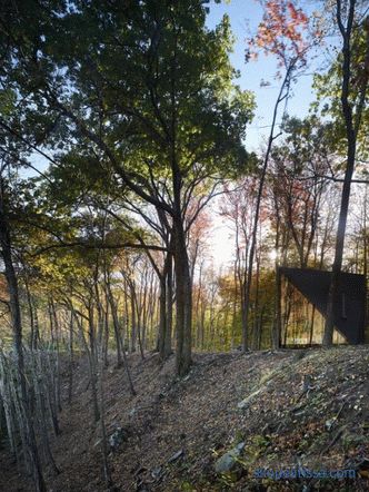 Casa de cristal în formă de cristal în pădurea din Lansville
