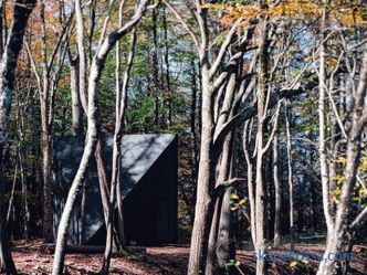 Casa de cristal în formă de cristal în pădurea din Lansville