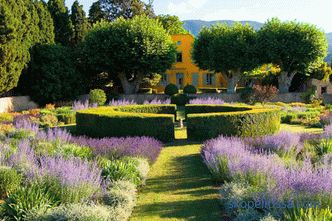 Grădina stilului Provence - regulile de bază ale formării