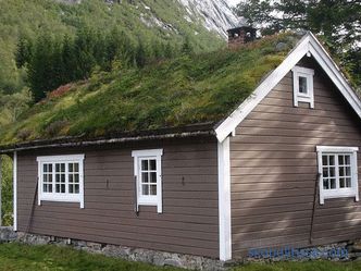 Casa scandinavă: cameră în stil scandinav