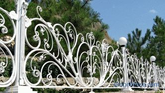 Garduri decorative pentru paturi de flori - cele mai bune idei de la designeri, fotografii, idei