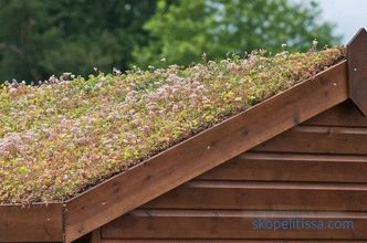 motive pentru popularitatea de gradini înalte, tipuri de grădini de acoperiș