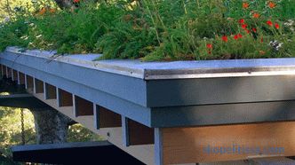 motive pentru popularitatea de gradini înalte, tipuri de grădini de acoperiș