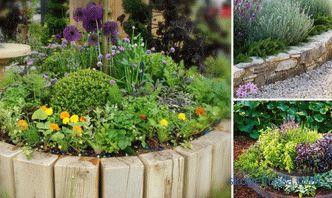 fotografii și recomandări de bază pentru crearea unei grădini frumoase