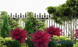 Floare de-a lungul gardului: regulile designului peisajului