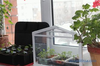 Mini seră de policarbonat, mini seră pentru grădină, fotografie și video