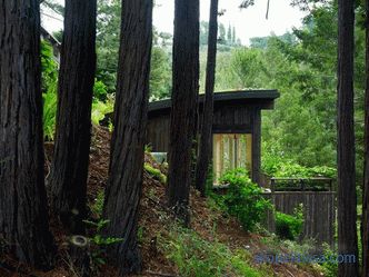 Două mini-cabane ca o extensie a casei din Mill Valley, California