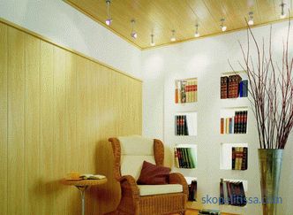 Decoratiuni interioare ale unei case din lemn intr-un stil modern: comunicatii, decoratiuni de perete