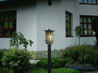 Lanternele de stat și lămpile de lampă, caracteristicile și subtilitățile alegerii pilonilor pentru grădină