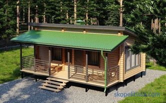 Case cu un acoperiș ușor, proiecte de case de lemn cu o singură etapă, dispozitive, diagrame și desene, fotografii